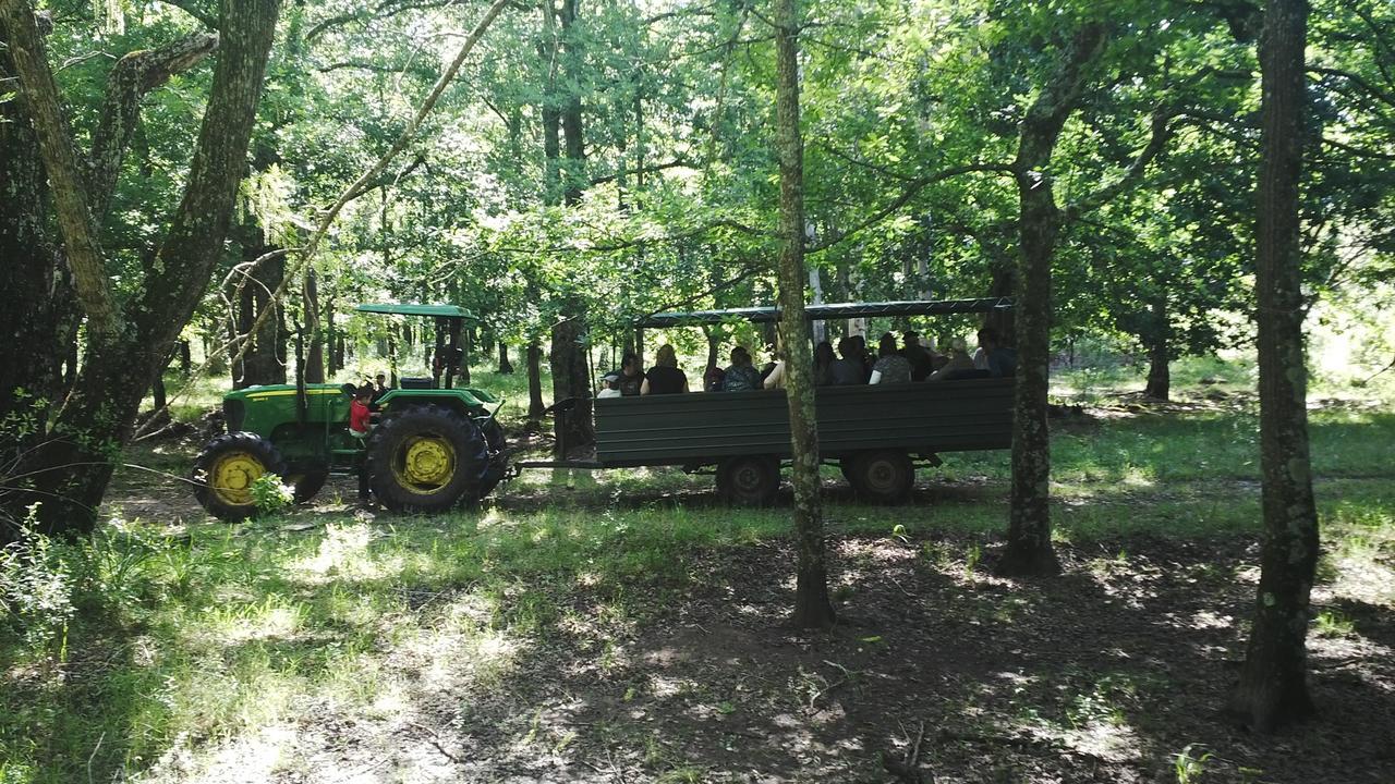 Estancia Turistica San Pedro De Timote Reboledo Ngoại thất bức ảnh